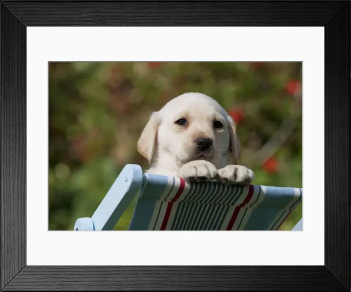 Framed Print : Picture No. 10900033 Framed Print : Picture No. 10900033