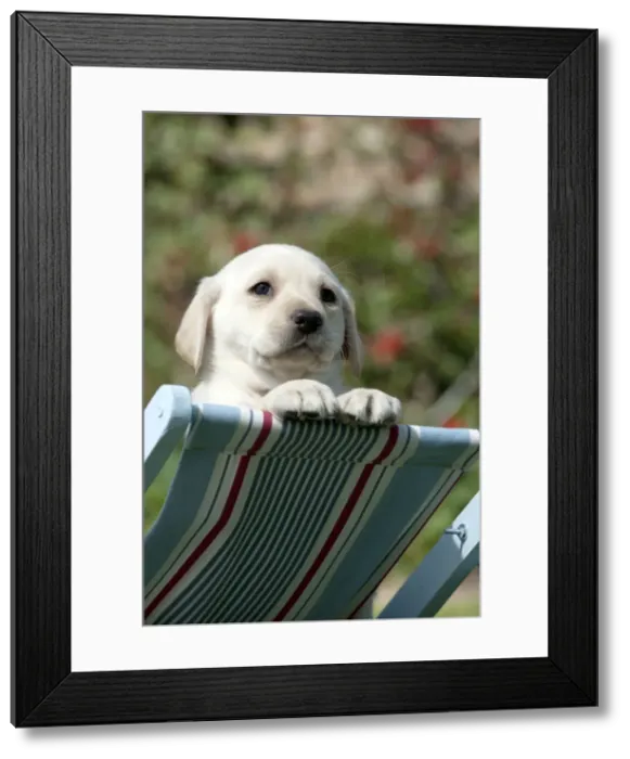 Framed Print : Picture No. 10900032 Framed Print : Picture No. 10900032