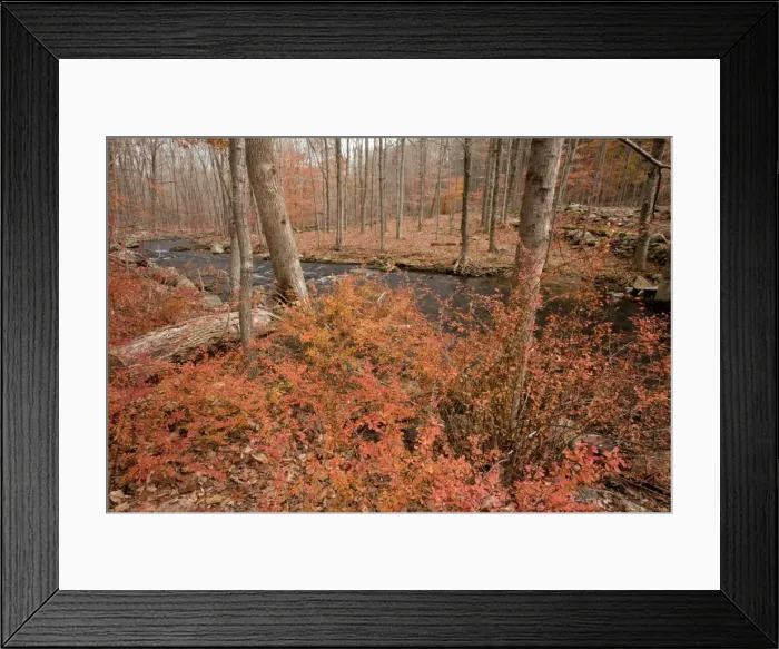 Framed Print : Picture No. 10887182 Framed Print : Picture No. 10887182