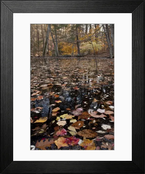 Framed Print : Picture No. 10887189 Framed Print : Picture No. 10887189