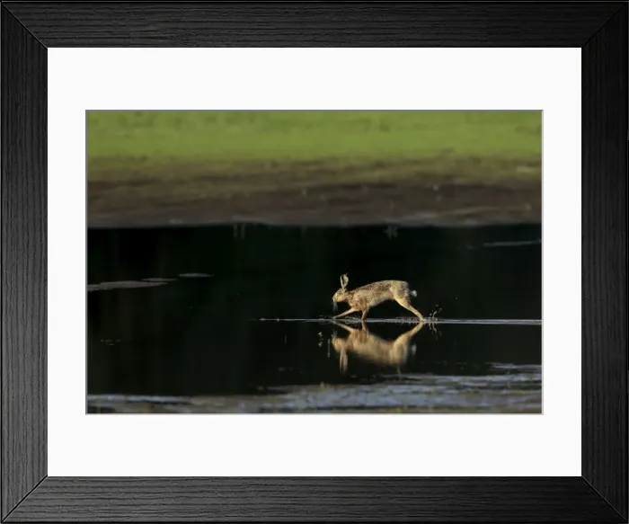 Framed Print : Picture No. 10900215 Framed Print : Picture No. 10900215
