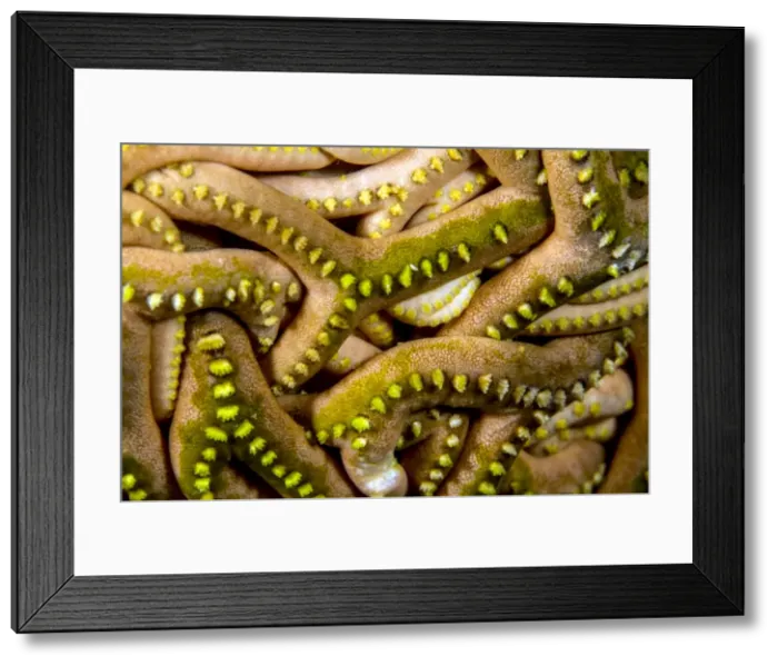 Framed Print : Picture No. 10900384 Framed Print : Picture No. 10900384