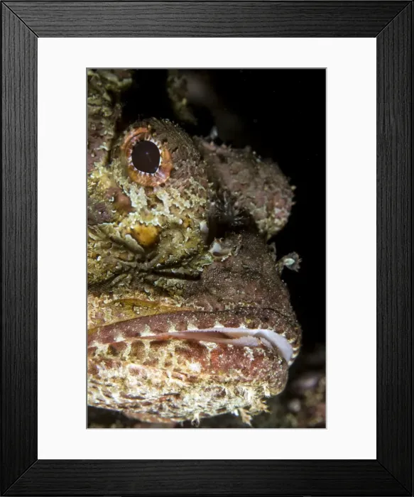 Framed Print : Picture No. 10900386 Framed Print : Picture No. 10900386