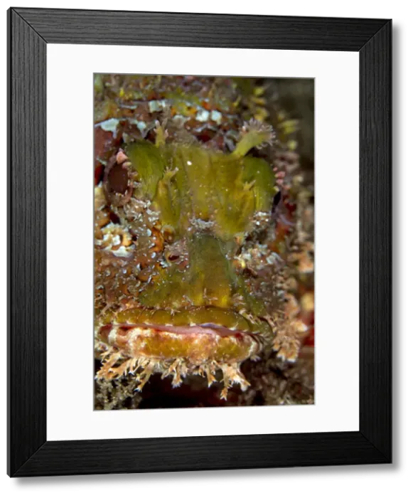 Framed Print : Picture No. 10900406 Framed Print : Picture No. 10900406