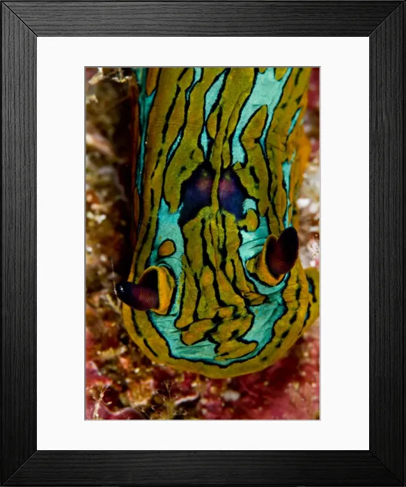 Framed Print : Picture No. 10900401 Framed Print : Picture No. 10900401
