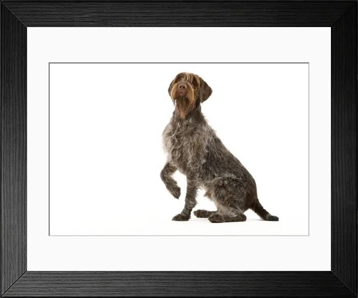 Framed Print : Picture No. 10888094 Framed Print : Picture No. 10888094