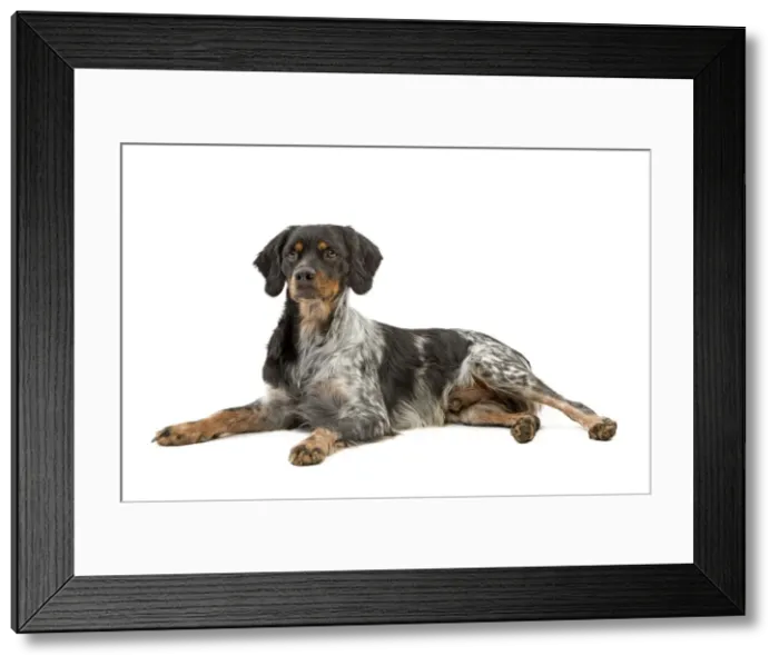 Framed Print : Picture No. 10888100 Framed Print : Picture No. 10888100