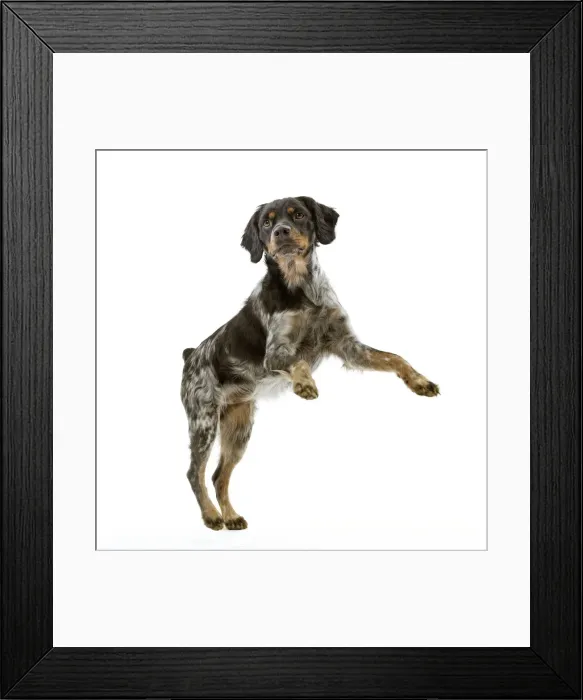 Framed Print : Picture No. 10888106 Framed Print : Picture No. 10888106