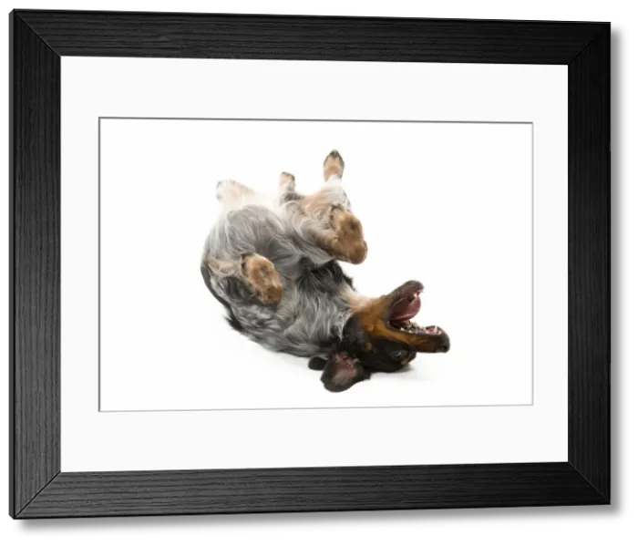 Framed Print : Picture No. 10888107 Framed Print : Picture No. 10888107