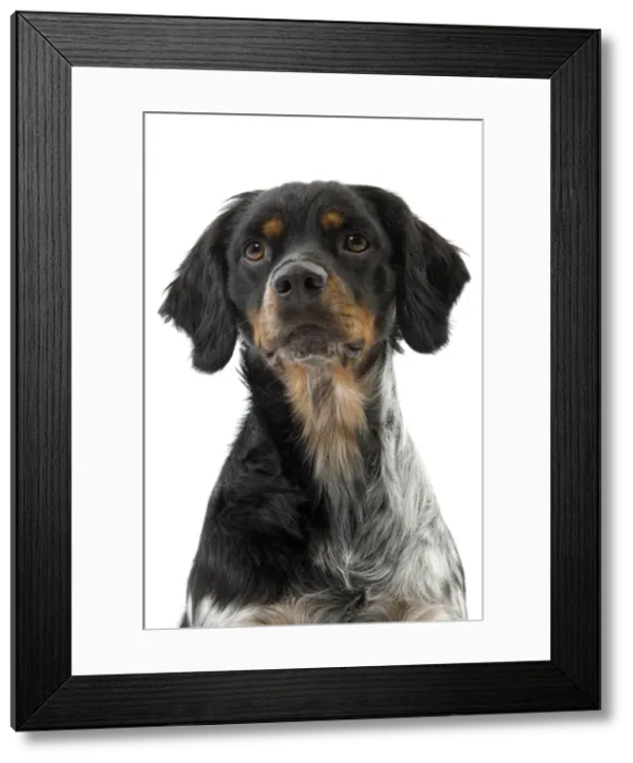 Framed Print : Picture No. 10888101 Framed Print : Picture No. 10888101