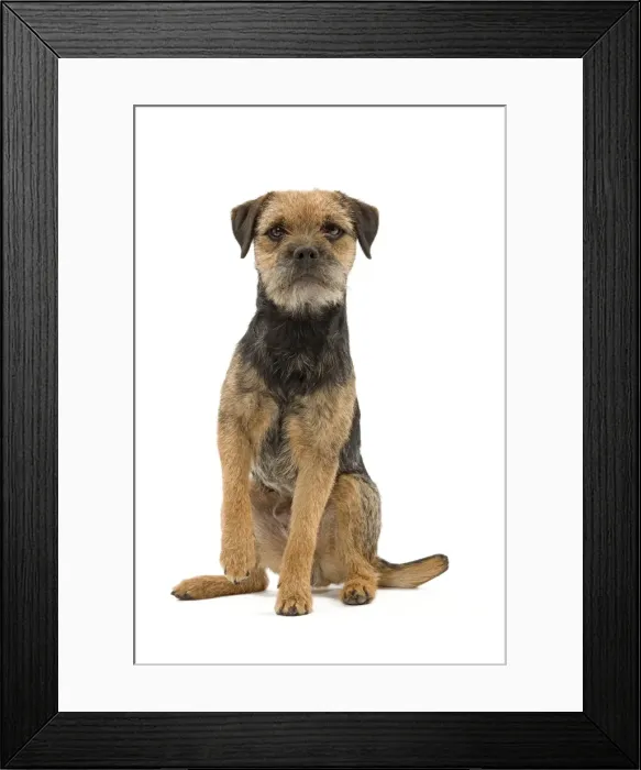 Framed Print : Picture No. 10888111 Framed Print : Picture No. 10888111