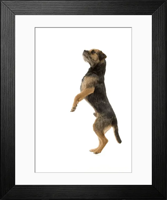 Framed Print : Picture No. 10888113 Framed Print : Picture No. 10888113