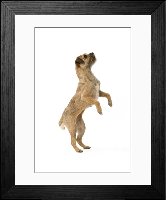 Framed Print : Picture No. 10888118 Framed Print : Picture No. 10888118