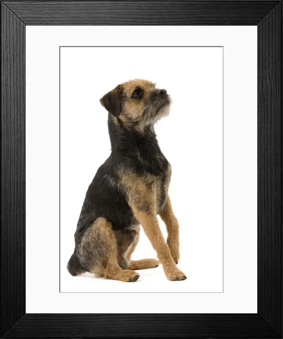 Framed Print : Picture No. 10888114 Framed Print : Picture No. 10888114
