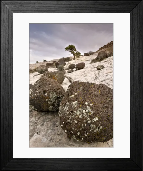 Framed Print : Picture No. 10899431 Framed Print : Picture No. 10899431