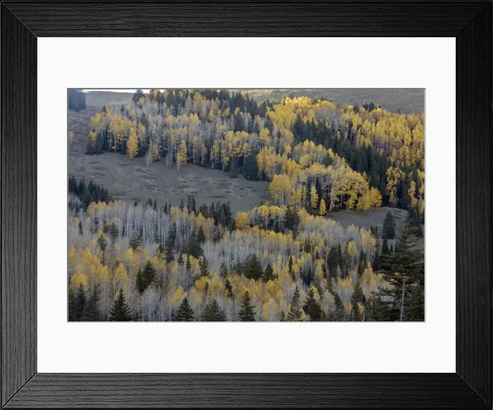 Framed Print : Picture No. 10899450 Framed Print : Picture No. 10899450
