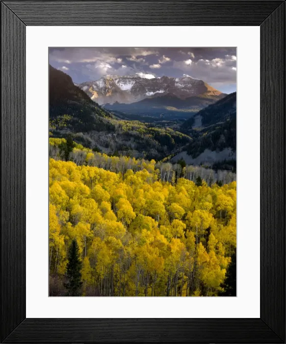 Framed Print : Picture No. 10899435 Framed Print : Picture No. 10899435
