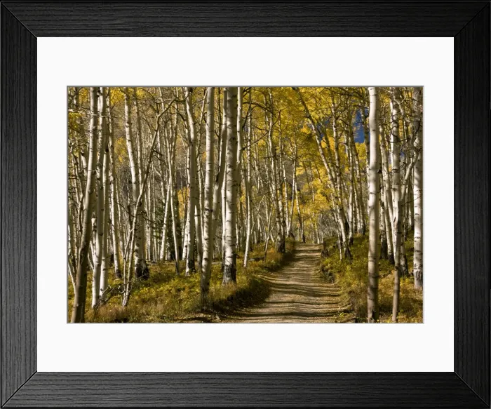 Framed Print : Picture No. 10899439