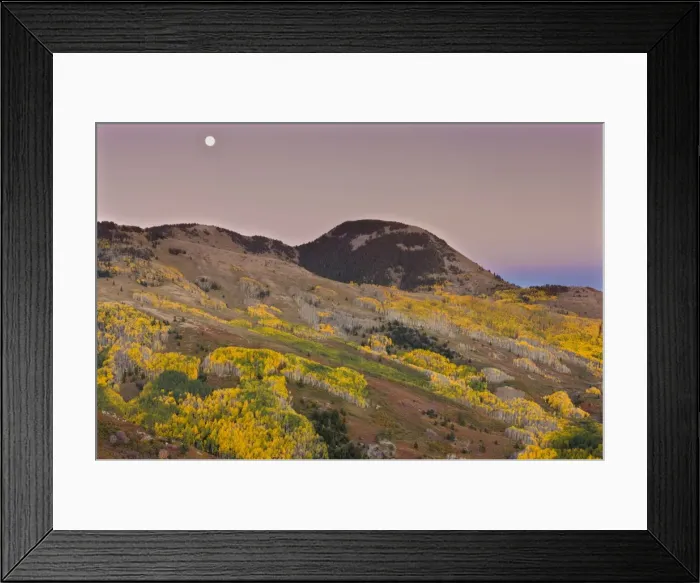 Framed Print : Picture No. 10899449 Framed Print : Picture No. 10899449
