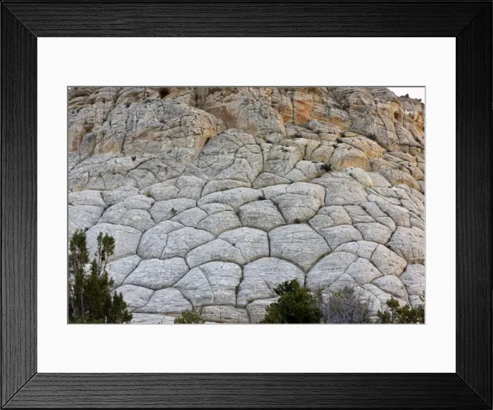 Framed Print : Picture No. 10899430 Framed Print : Picture No. 10899430