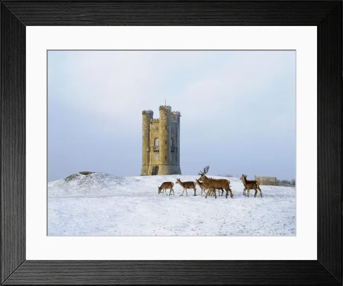 Framed Print : Picture No. 10900459 Framed Print : Picture No. 10900459