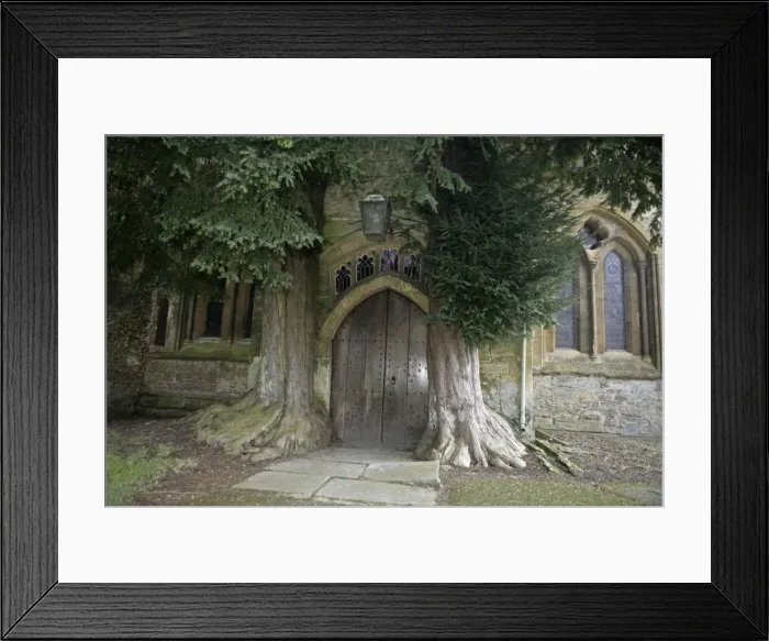 Framed Print : Picture No. 10900464