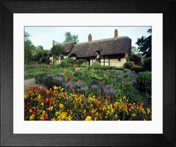 Framed Print : Picture No. 10900463 Framed Print : Picture No. 10900463