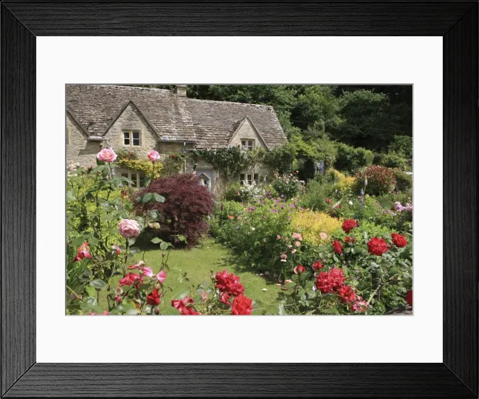 Framed Print : Picture No. 10900469