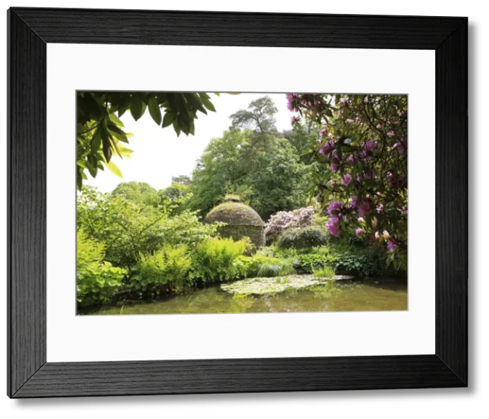Framed Print : Picture No. 10900482 Framed Print : Picture No. 10900482