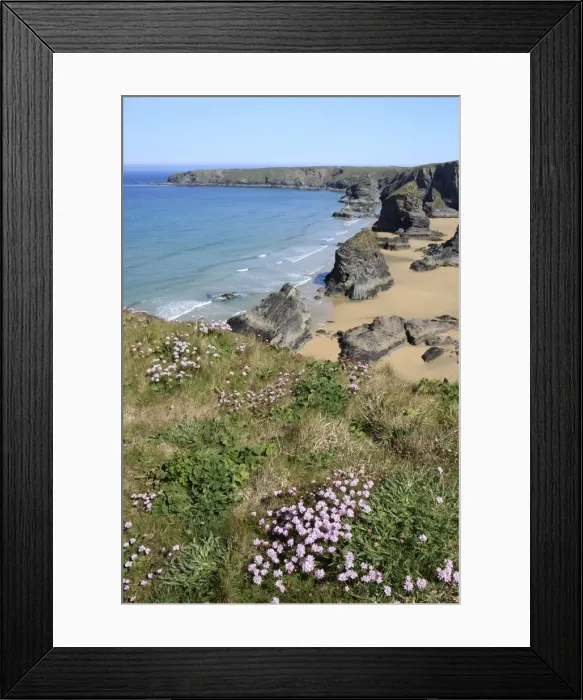 Framed Print : Picture No. 10900536
