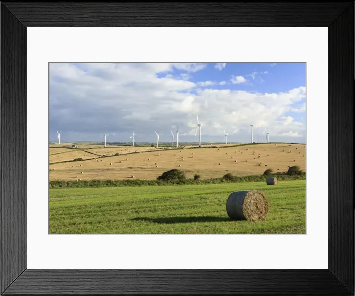 Framed Print : Picture No. 10900543 Framed Print : Picture No. 10900543