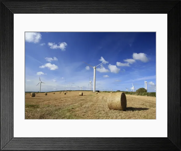 Framed Print : Picture No. 10900542 Framed Print : Picture No. 10900542
