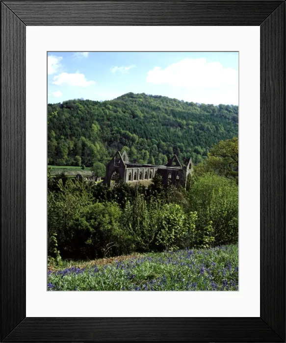 Framed Print : Picture No. 10900550 Framed Print : Picture No. 10900550
