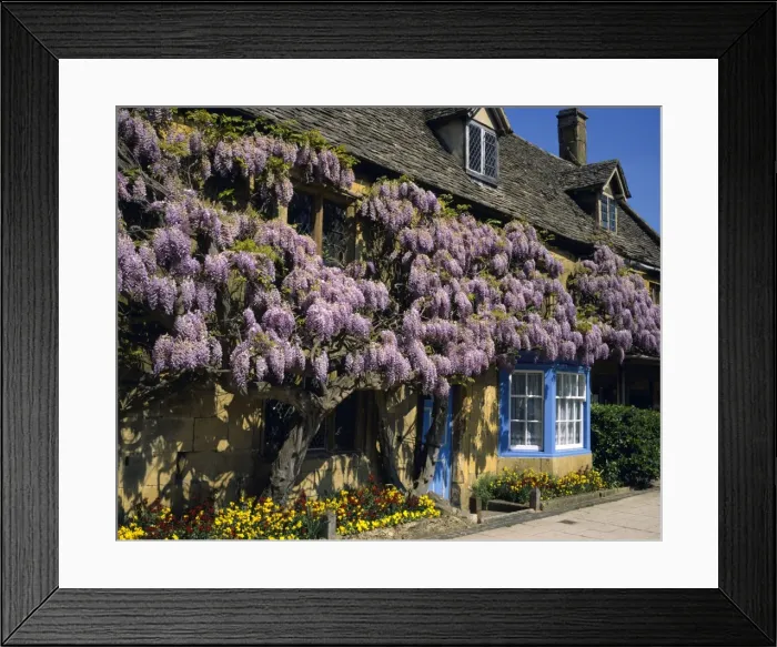 Framed Print : Picture No. 10900551 Framed Print : Picture No. 10900551