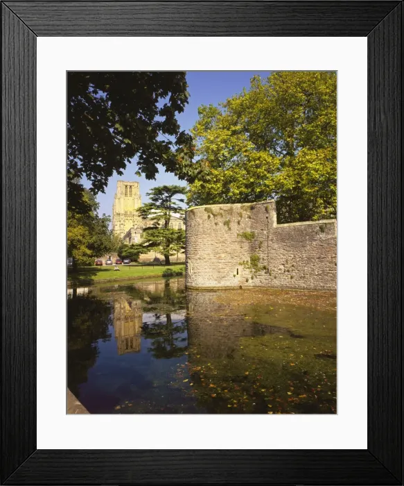 Framed Print : Picture No. 10900554 Framed Print : Picture No. 10900554