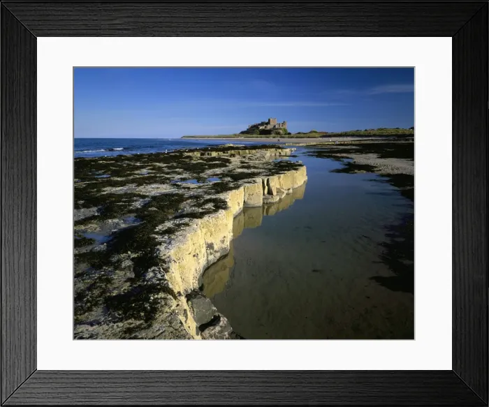 Framed Print : Picture No. 10900564