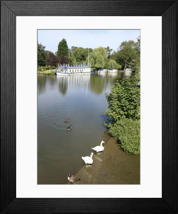 Framed Print : Picture No. 10900584 Framed Print : Picture No. 10900584