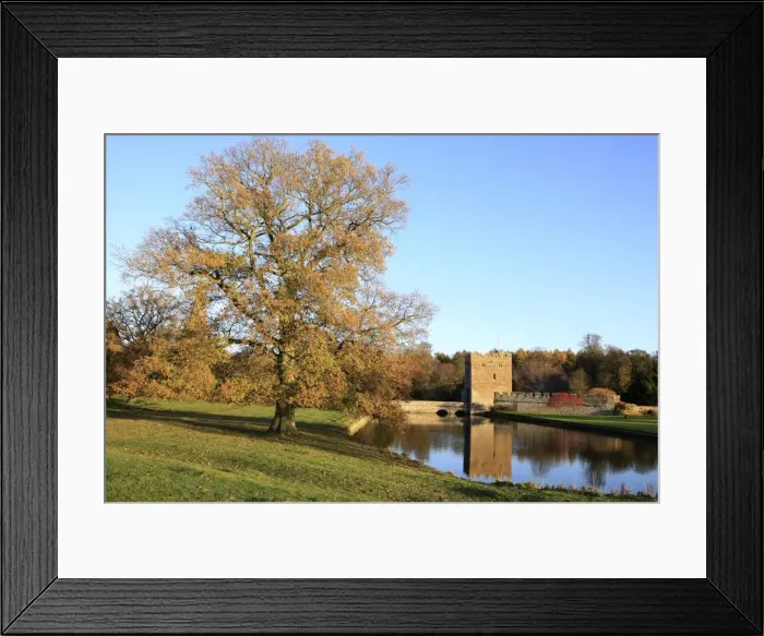 Framed Print : Picture No. 10900585 Framed Print : Picture No. 10900585