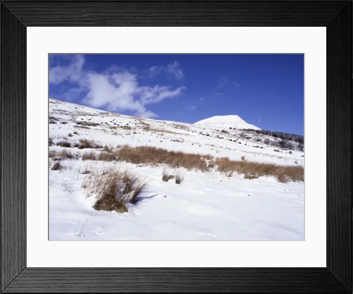 Framed Print : Picture No. 10900597