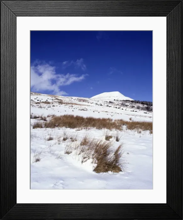 Framed Print : Picture No. 10900598 Framed Print : Picture No. 10900598