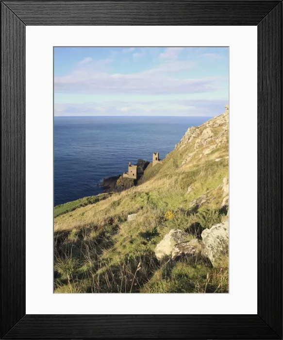 Framed Print : Picture No. 10900593 Framed Print : Picture No. 10900593