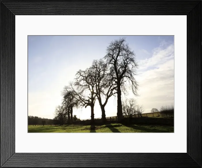 Framed Print : Picture No. 10900601 Framed Print : Picture No. 10900601