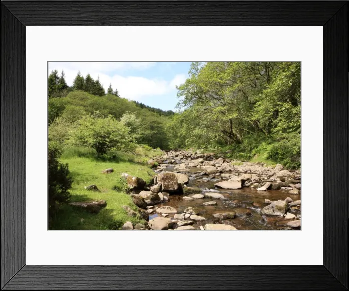 Framed Print : Picture No. 10900620