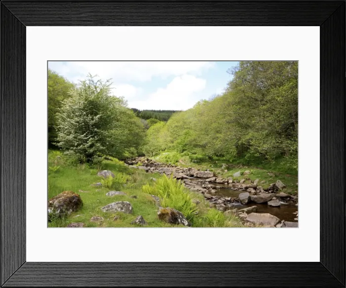 Framed Print : Picture No. 10900619 Framed Print : Picture No. 10900619