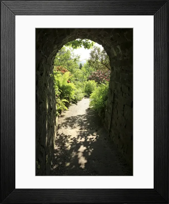 Framed Print : Picture No. 10900625 Framed Print : Picture No. 10900625