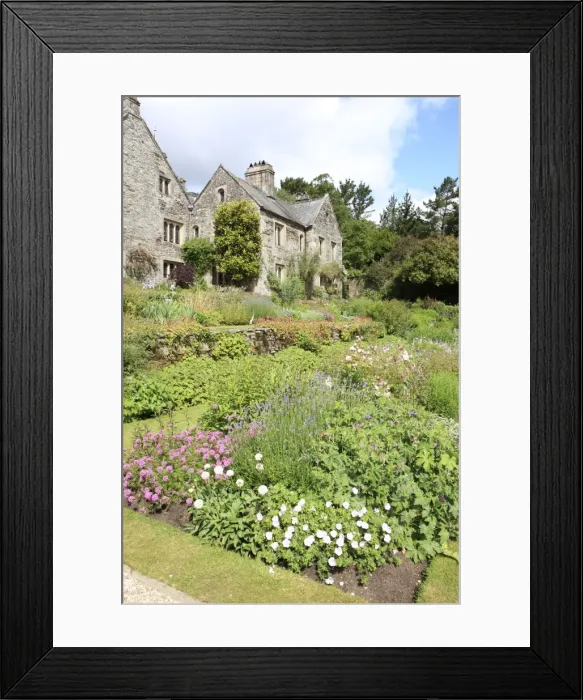 Framed Print : Picture No. 10900624