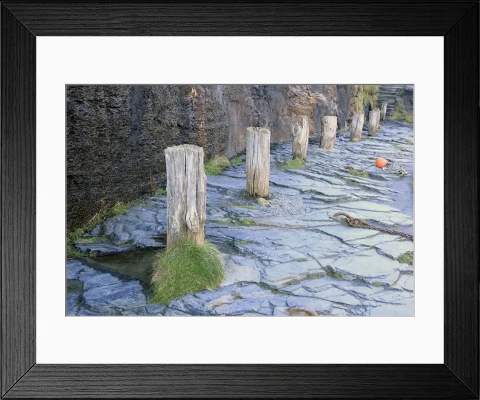 Framed Print : Picture No. 10900629 Framed Print : Picture No. 10900629