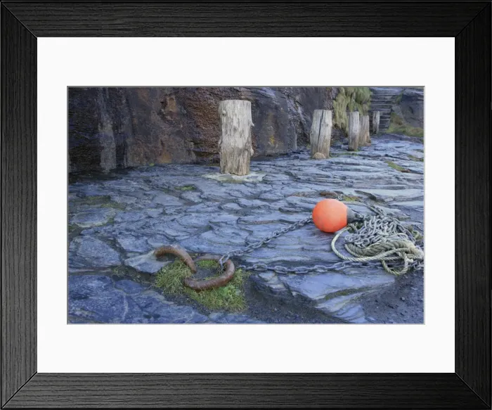 Framed Print : Picture No. 10900630 Framed Print : Picture No. 10900630