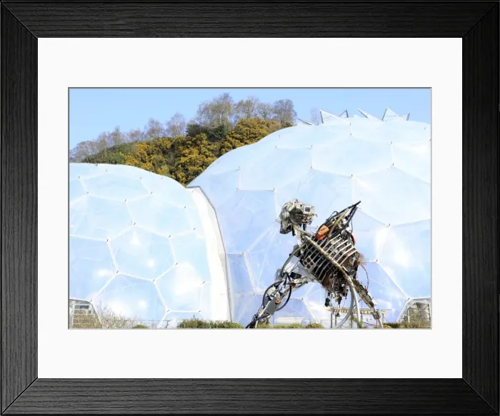 Framed Print : Picture No. 10900636 Framed Print : Picture No. 10900636