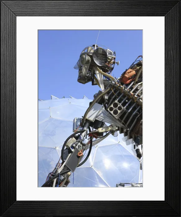 Framed Print : Picture No. 10900635 Framed Print : Picture No. 10900635